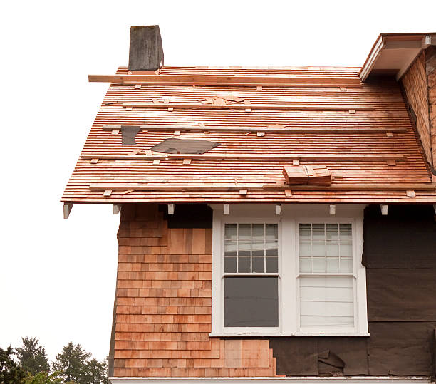 Best Wood Siding Installation  in Elkridge, MD